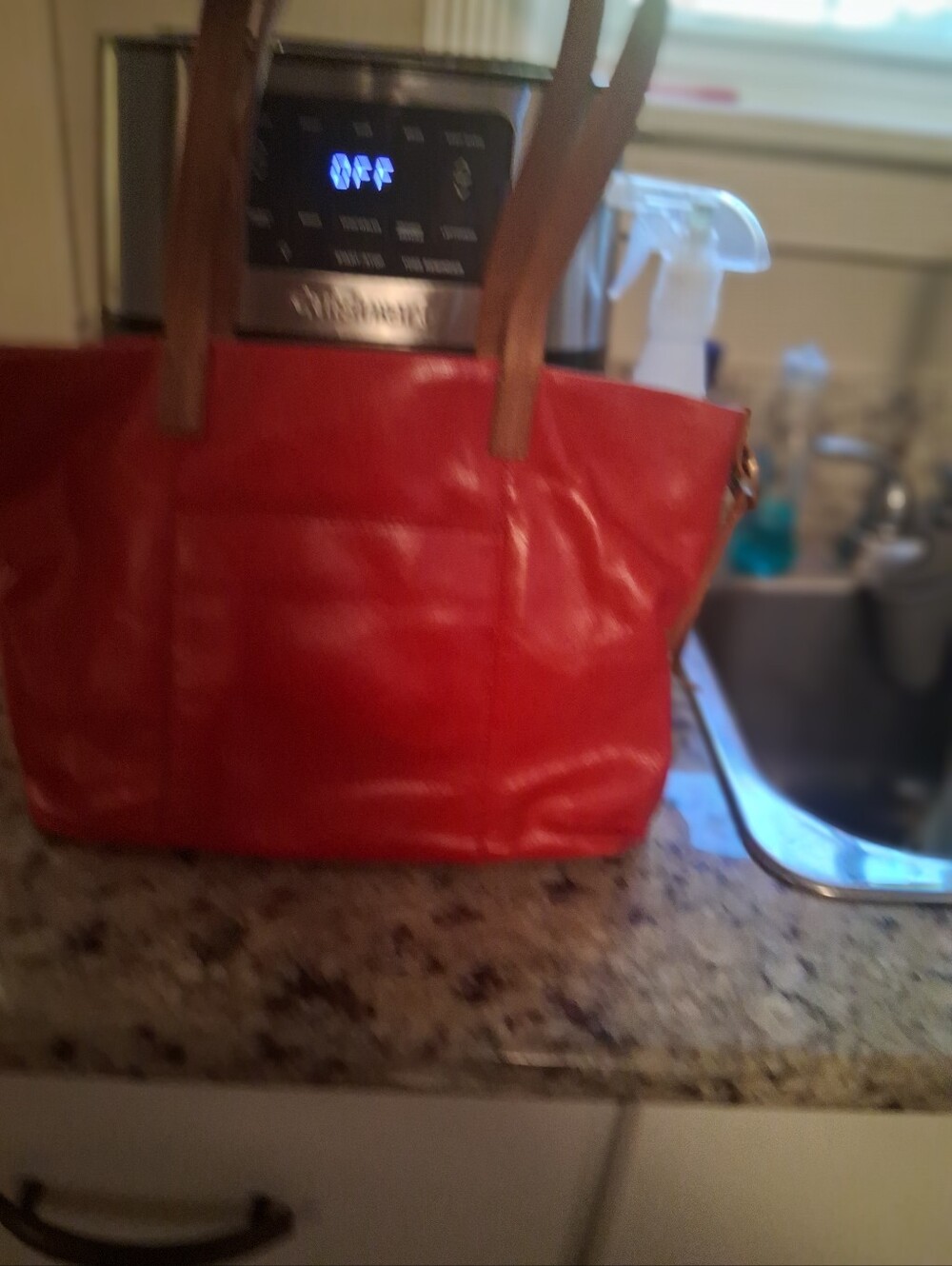 Women's Purse